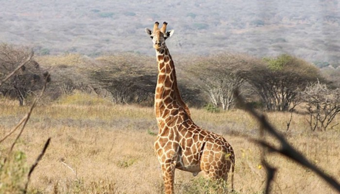 THE WEATHER IN TANZANIA