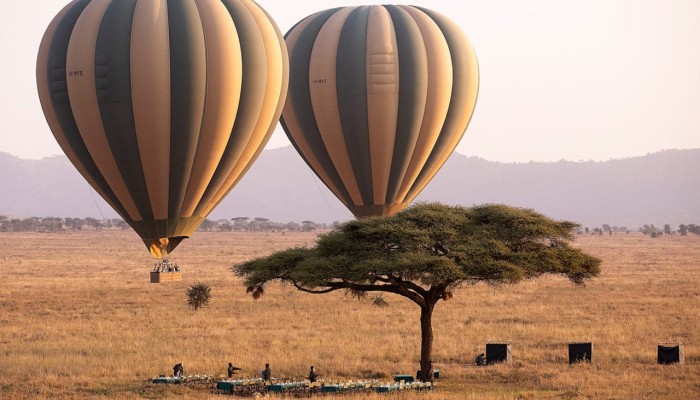 Serengeti Balloon Safaris