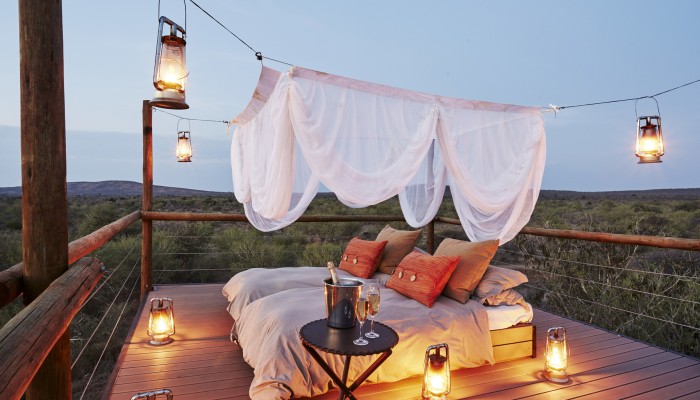 Honeymoon Safaris
