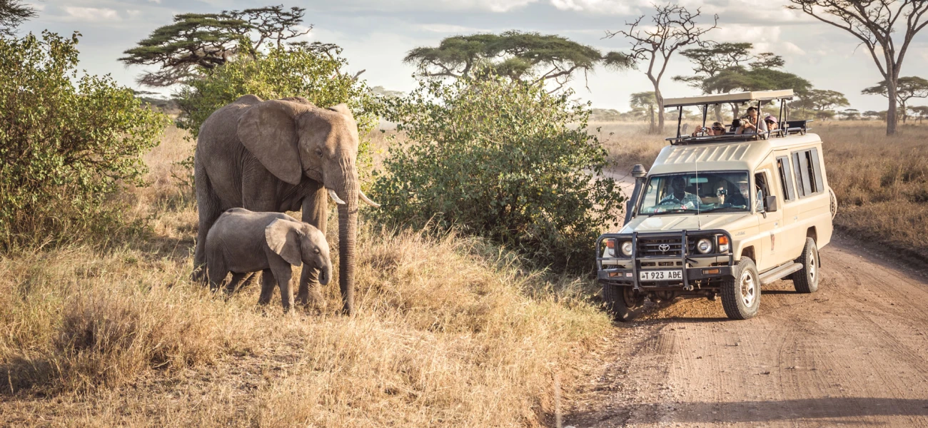 mount kilimanjaro and wildlife combine safari