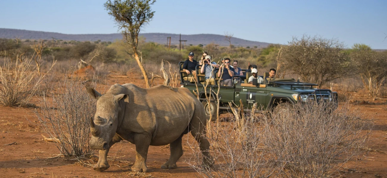 Luxury Tanzania Safari