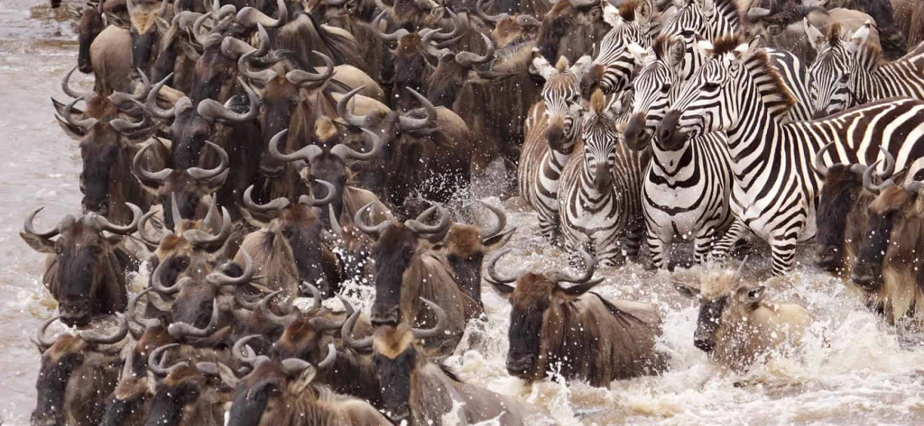 serengeti heritage tented camp