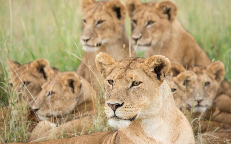 Tanzania  destination ,food and languages