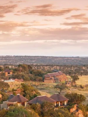 SUGGESTIONS FOR SAFARI?