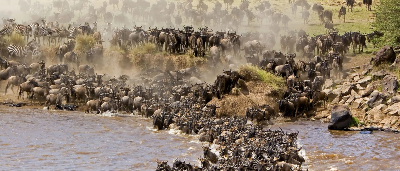  "Witness the Great Migration" 