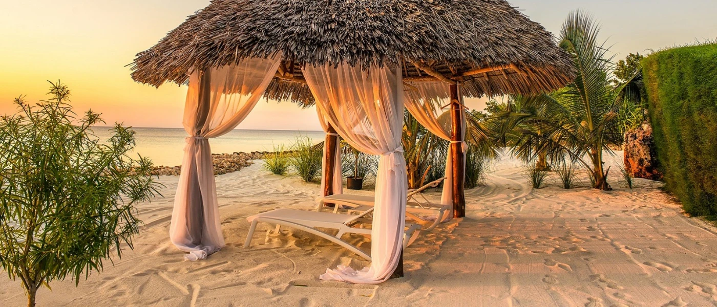 "Luxury Safaris in the Serengeti"