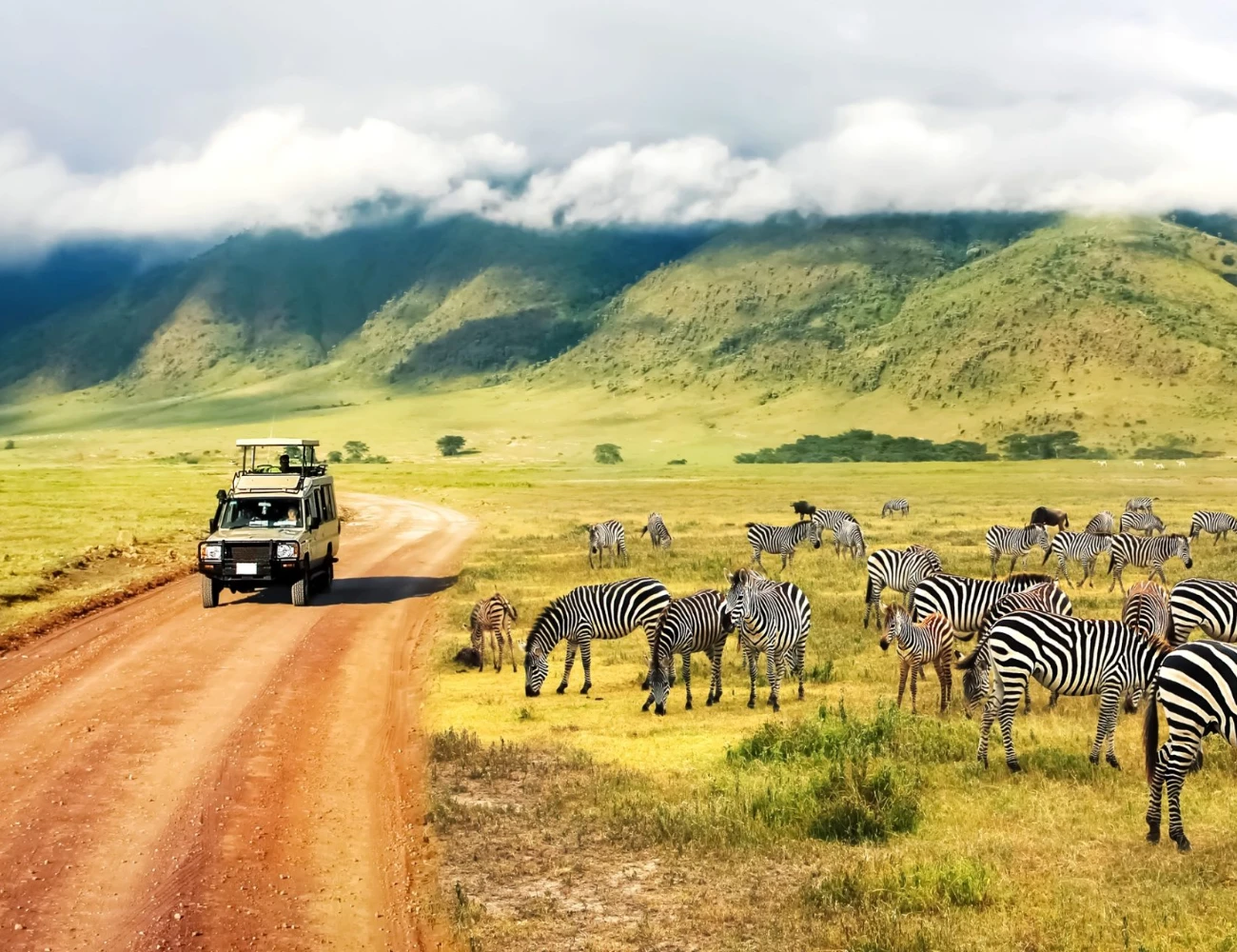 Luxury Safari Beyond the Horizon